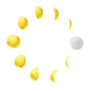 ドラゴンヘッド ホロマム公式 ホロスコープは感性で読む時代へ